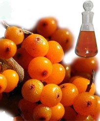 thumb_20200420115644_947.jpg thumb_20200420115644_947.jpg