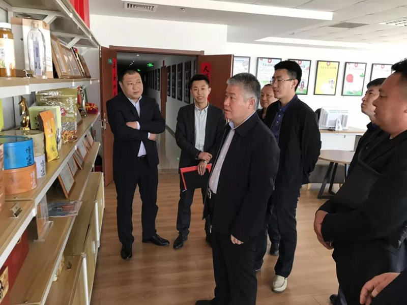 内蒙古生态治理 内蒙古生态治理