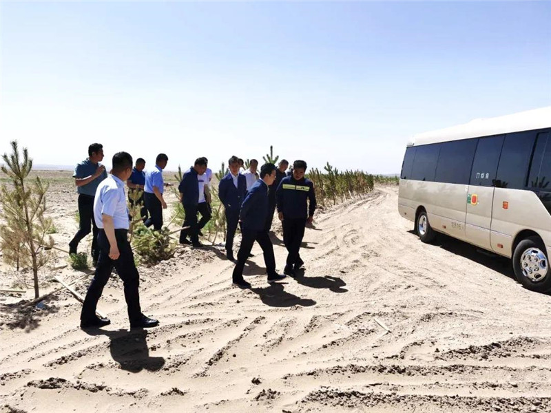 内蒙古生态治理内蒙古淳点实业有限公司