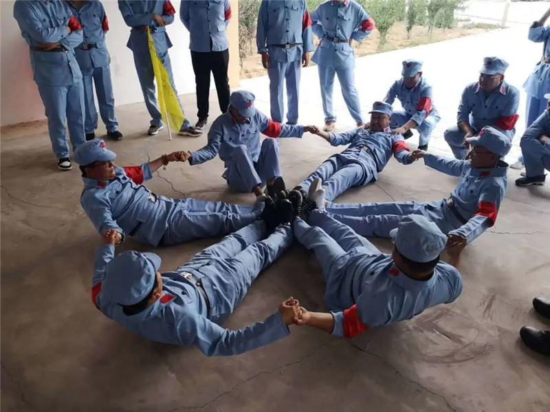 鄂尔多斯沙棘食品药品