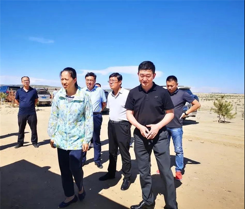 1602553879434816.jpg 内蒙古生态治理内蒙古淳点实业有限公司