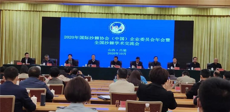 鄂尔多斯沙棘食品药品