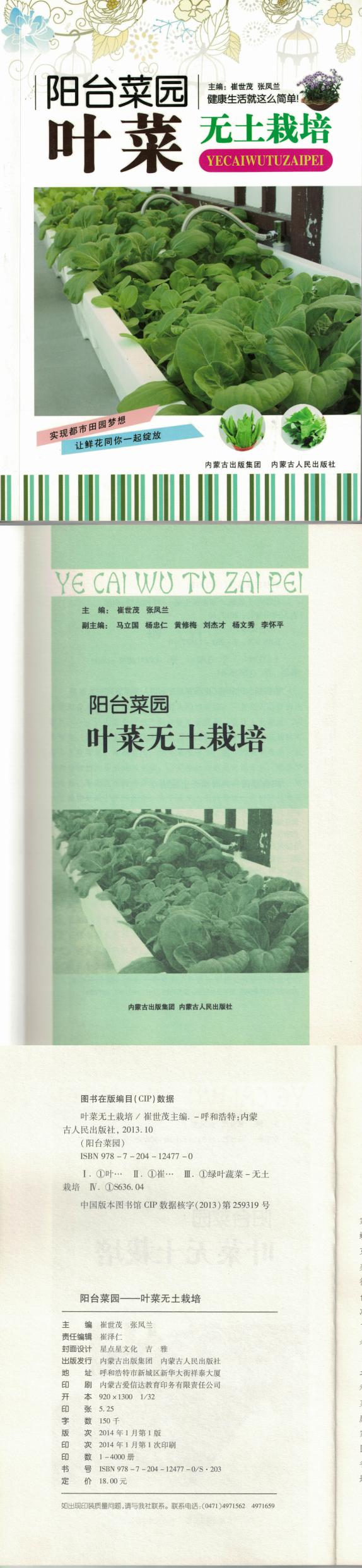 阳台菜园叶菜业绩版_00.jpg